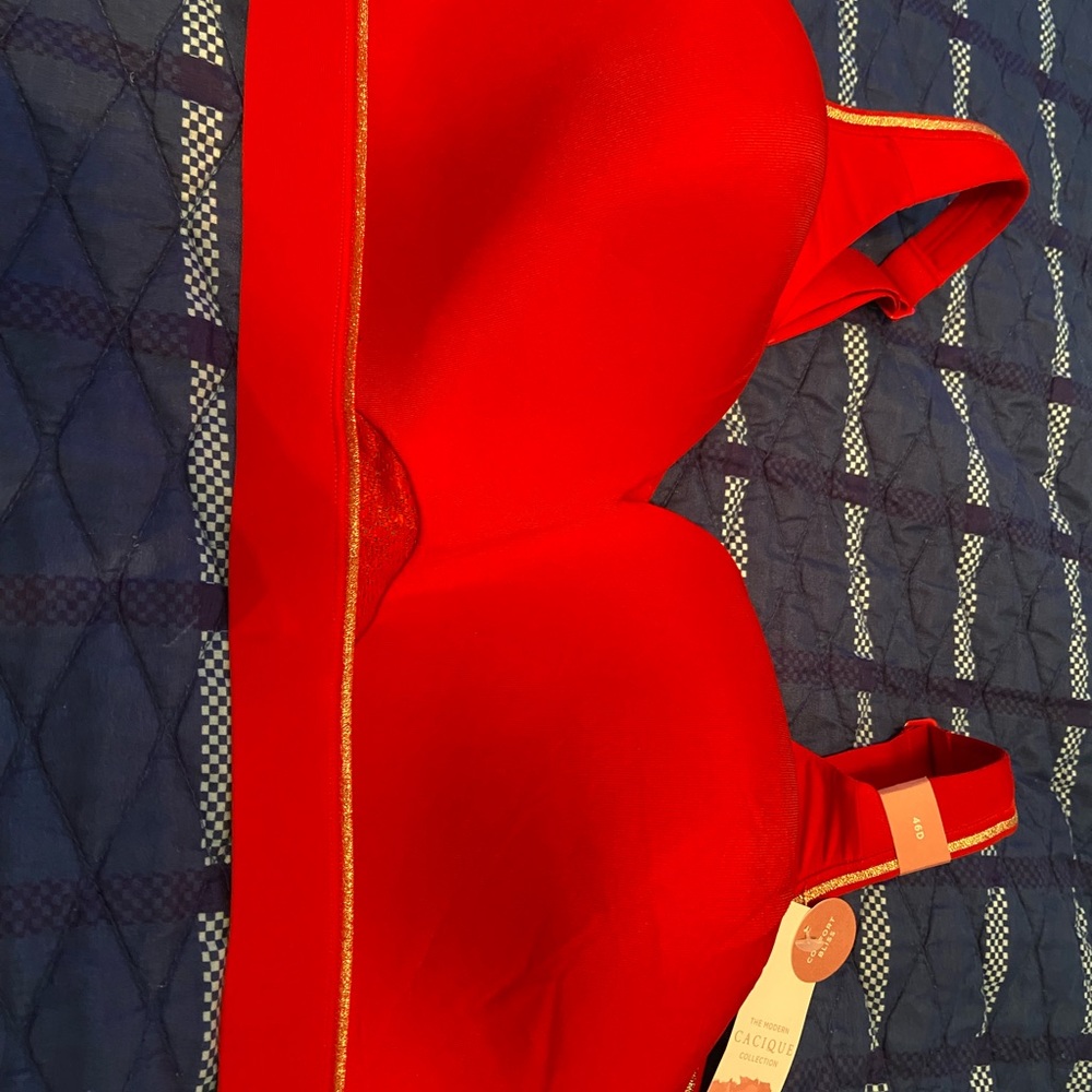 Red Bra with Gold Accents